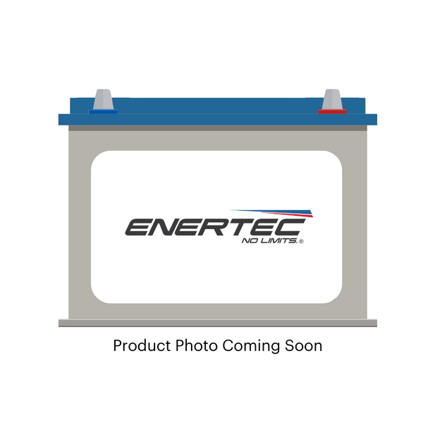 656-BLC 12V 80Ah Enertec Blue Lead Calcium Automotive Battery